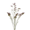 thumbnail image 3 of Member's Mark Limonium, 60 Stems, choose color, 3 of 6