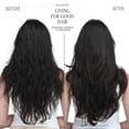 thumbnail image 4 of NatureWell Living For Good Shampoo & Conditioner, 24 fl. oz., 2 pk., 4 of 7