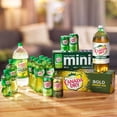 thumbnail image 7 of Canada Dry Ginger Ale Soda 12 fl. oz., 35 pk., 7 of 11