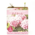 thumbnail image 15 of Hydrangea or Lilac Shrubs 2 pk., 15 of 15