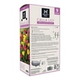 thumbnail image 2 of Member's Mark Calla Lily Pink & Yellow Blend Dormant Bulbs, 9pk, 2 of 3