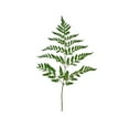 thumbnail image 1 of Member's Mark Leather Leaf 10 bunches, 1 of 3