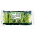 thumbnail image 3 of Petite Romaine Lettuce, 5 ct., 3 of 6