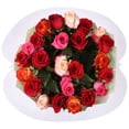 thumbnail image 2 of Member's Mark Premium Double Dozen Rose, 24 stems, 2 of 6