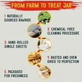 thumbnail image 10 of Canine Chews 8" Basted Rawhides for Dogs, 25 ct., Choose Flavor, 10 of 10
