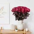 thumbnail image 3 of Member's Mark Farm Fresh Velvet Roses, choose color and stem count, 3 of 9