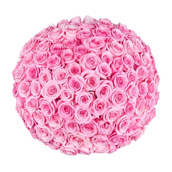 Member's Mark Roses, choose color and stem count