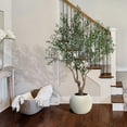 thumbnail image 4 of Member's Mark Faux 8' Deluxe Olive Tree in Oversized Cream Pot, 4 of 5