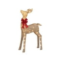 thumbnail image 5 of Member's Mark 3 Piece Pre-Lit Twinkling Deer Family, 5 of 6