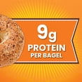 thumbnail image 3 of Thomas' Everything Bagels, 12 pk., 3 of 9