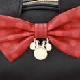 thumbnail image 4 of Licensed Mini Backpack with Coin Pouch Charm, 4 of 14