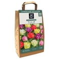thumbnail image 1 of Member's Mark Tulip Double Late Blend Dormant Bulbs, 30pk, 1 of 9