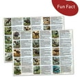 thumbnail image 4 of Member's Mark Dino Egg Bucket, 60 pc., 4 of 8