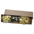 thumbnail image 6 of Member's Mark Football Mums, choose color and stem count, 6 of 6