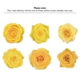 thumbnail image 6 of Member's Mark Ecuadorian Premium Roses, choose color variety and stem count, 6 of 6