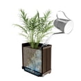 thumbnail image 5 of Keter Signature Collection 30" Resin Rectangle Tall Planter, 5 of 7