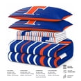 thumbnail image 5 of Logo Brands Florida Queen Bed-In-A-Bag Set, 5 of 5