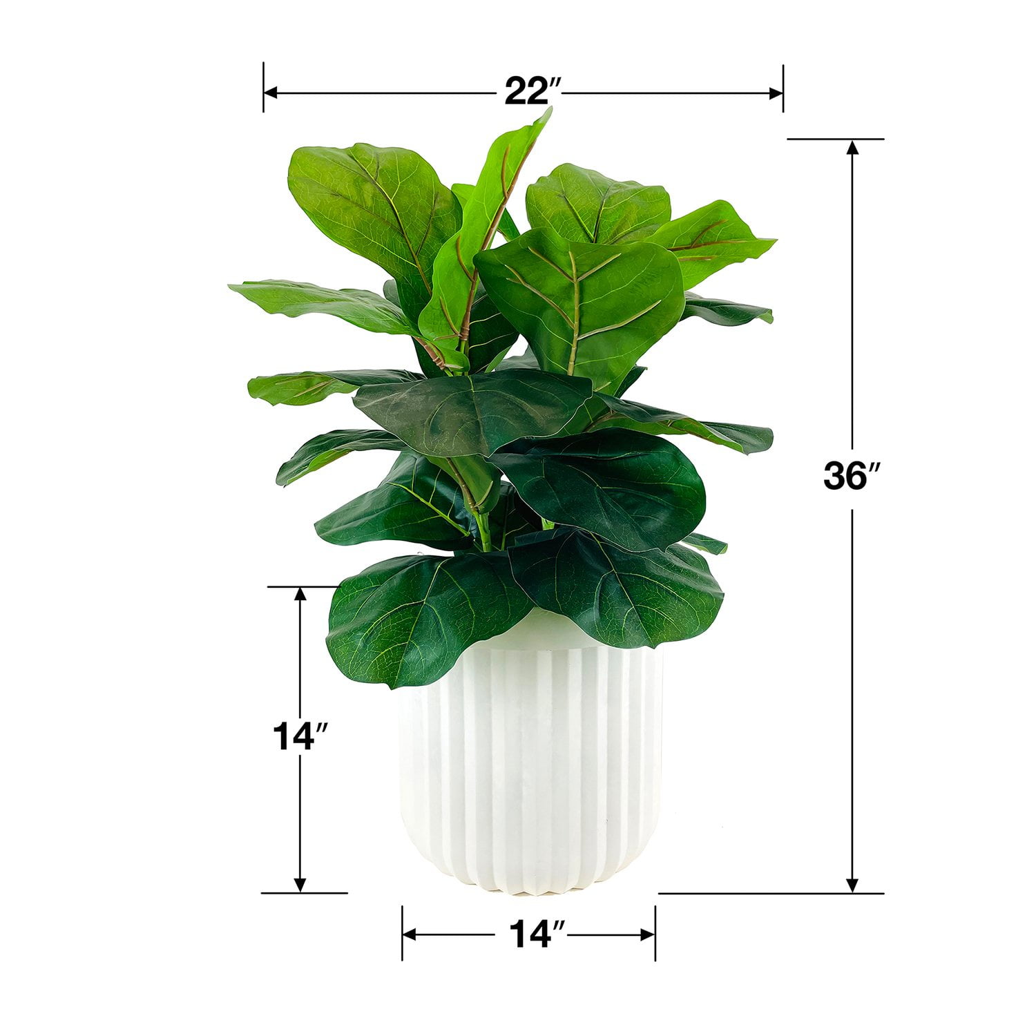LCG Sales Artificial 36' Premium Fiddle Leaf Fig in an off White Oversized Pot:- 36'