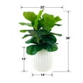 thumbnail image 5 of Artificial Premium Fiddle Leaf Fig Plant in Off White Pot, 5 of 5