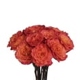 thumbnail image 2 of Member's Mark Garden Roses, 36 stems, Choose color variety, 2 of 6