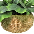 thumbnail image 3 of Faux 20" Fig Plant in Low Round Handwoven Basket, 3 of 4