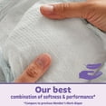 thumbnail image 5 of Member's Mark Premium Baby Diapers, Sizes Newborn - 7, 5 of 10