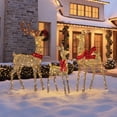 thumbnail image 1 of Member's Mark Pre-Lit Twisted Foil Deer Family, Set of 3, 1 of 7