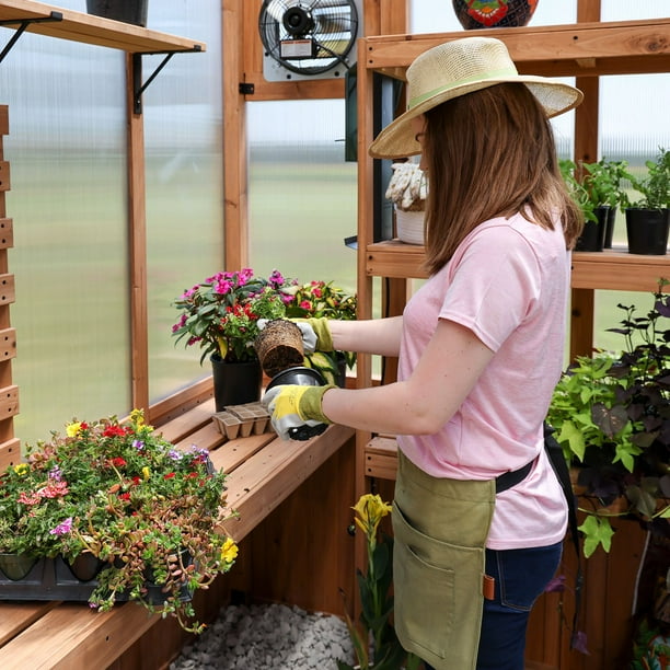 Backyard Discovery 11' x 7' Modern Cedar Greenhouse - DIY