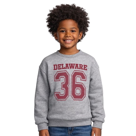 State of Mine Kids Pennant Picnic Crew Sweatshirt