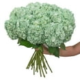 thumbnail image 2 of Member's Mark Color Enhanced Hydrangeas, 20 stems, choose color, 2 of 4