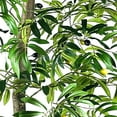 thumbnail image 2 of Faux 72" Olive Tree in Black Plastic Pot, 2 of 5