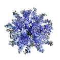 thumbnail image 1 of Member's Mark Sea Waltz Hybrid Delphinium, choose stem count, 1 of 5