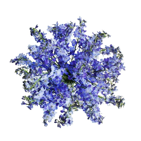 Member's Mark Sea Waltz Hybrid Delphinium, choose stem count