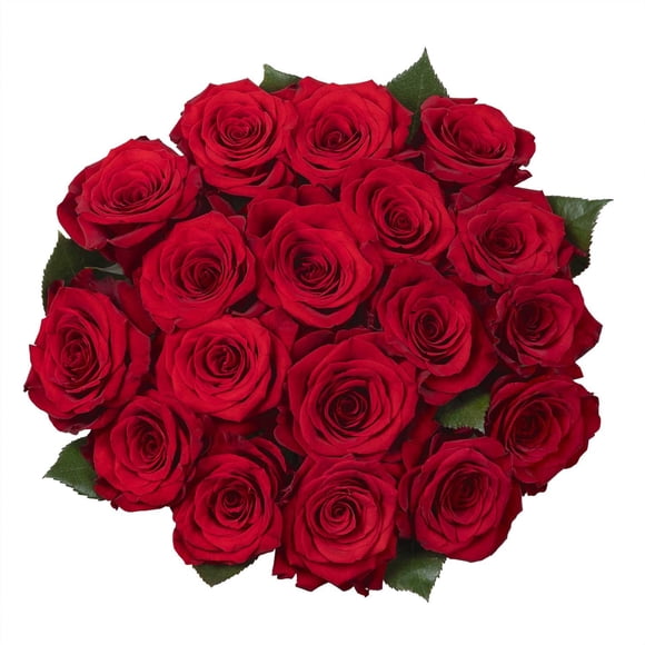 Member's Mark Premium Roses, 18 stems, choose color