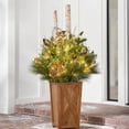 thumbnail interactive-video image 1 of Member's Mark 48" Pre-Lit Decorative Topiary with Berries, 1 of 8