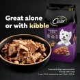 thumbnail image 6 of Cesar Classic Loaf in Sauce Wet Dog Food Variety Pack, 3.5 oz., 48 ct., 6 of 9