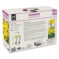 thumbnail image 2 of Member's Mark Daffodil Yellow Trumpet Dormant Bulbs, 40pk, 2 of 9