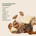 thumbnail image 4 of Om Mushrooms Master Blend, Organic Mushroom Supplements, 195 CT, 4 of 7