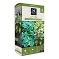 thumbnail image 1 of Member's Mark Hosta Combo Christmas Tree & Paul's Glory Dormant Bulbs, 6pk, 1 of 9
