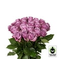thumbnail image 2 of Member's Mark Fair Trade Roses, 75 stems, Choose color variety, 2 of 5