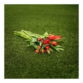 thumbnail image 3 of Member's Mark Tulips, 50 stems, 3 of 3