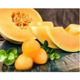thumbnail image 3 of Sugar Kiss Melon, 2 ct., 3 of 4