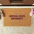 thumbnail image 2 of Logo Brands Central State Marauders Doormat, 2 of 5