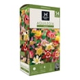 thumbnail image 1 of Member's Mark Columbine Aquilegia Blend Dormant Bulbs, 14pk, 1 of 9
