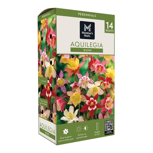 Member's Mark Columbine Aquilegia Blend Dormant Bulbs, 14pk
