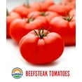 thumbnail image 2 of Beefsteak Tomatoes (6 ct.), 2 of 4