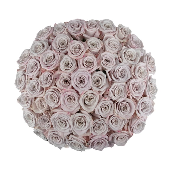 Member's Mark Ecuadorian Premium Roses, choose color variety and stem count