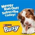 thumbnail image 11 of Purina Busy with Beggin’ Twist’d Adult Dog Chew Bone Treats - 18 ct. Pouch, 11 of 11