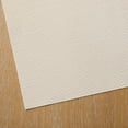 thumbnail image 4 of Member's Mark Set of 8 Paragon Woven PVC Placemats, 14" x 19", 4 of 6