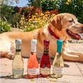 thumbnail image 6 of Stella Rosa Stellabration Assortment Gift Pack 187 ml, 5 pk., 6 of 6